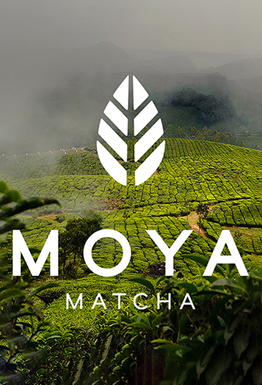 MOYA日式茶葉包裝設(shè)計(jì)